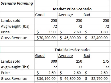 Excel sample of scenarios